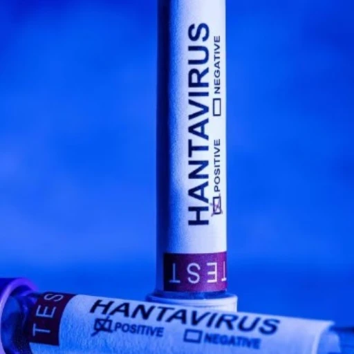 España, Francia y Países Bajos adquieren un tratamiento experimental contra el hantavirus