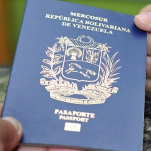 El documento podrá ser entregado en un plazo máximo de 72 horas hábiles.