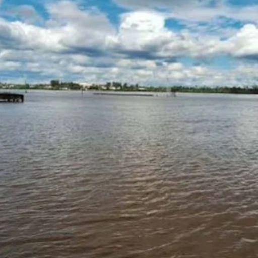El fenómeno de El Niño provoca crecidas e inundaciones del río Uruguay en Argentina