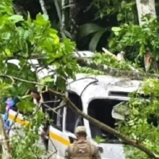 Fallece venezolano en accidente de un autobús que llevaba diez migrantes en Panamá