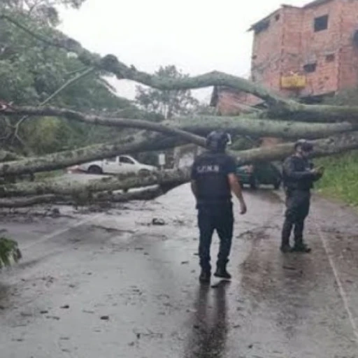 Fuertes vientos huracanados causan destrozos en varios municipios de Táchira